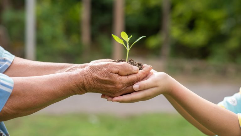 Un hombre mayor y una mujer joven sostienen juntos una planta que recién está naciendo.